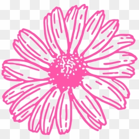 Clipart Flower Outline Png, Transparent Png - pink daisy png