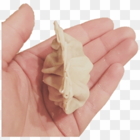 Wonton, HD Png Download - dumpling png