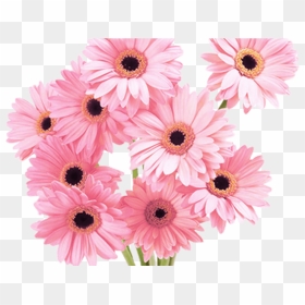 Flowers Pink Tumblr Vaporwave Aesthetic - Flower Bunch Images Hd, HD Png Download - pink daisy png