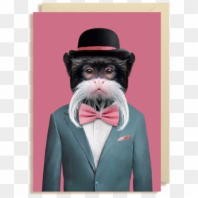 Emperor Tamarin In Suit, HD Png Download - tuxedo mask png
