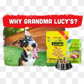 Grandma Lucy, HD Png Download - dog bones png