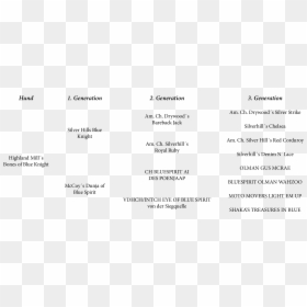 Screenshot, HD Png Download - dog bones png