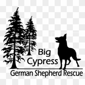 Big Cypress German Shepherd Rescue, HD Png Download - german shepherd silhouette png