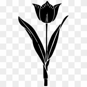 Tulip Black And White Flowers Clipart, HD Png Download - flowers silhouette png