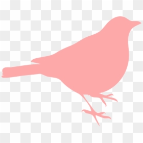 Red Robin Bird Cartoon, HD Png Download - standing silhouette png