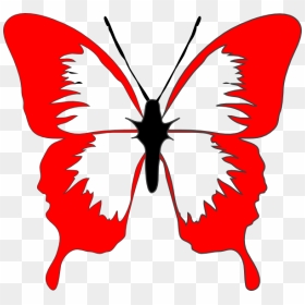 Red Butterfly Clip Art At Clker - Black And White Clip Art Design Butterfly, HD Png Download - red butterfly png