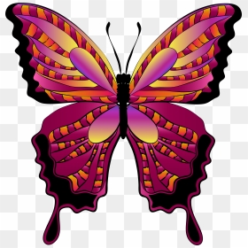Png Download , Png Download - Pink And Orange Butterfly, Transparent Png - red butterfly png