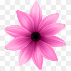 Pin By Yassmen Aref On Flowers 2 In 2019 - Portable Network Graphics, HD Png Download - pink daisy png