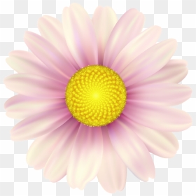 Clip Art, HD Png Download - pink daisy png
