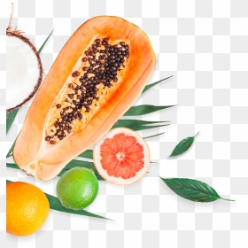 Papaya, HD Png Download - special offer banner png