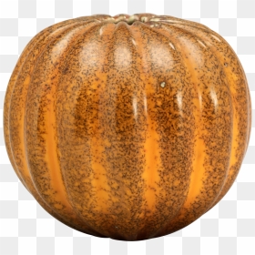 Pumpkin Png Image, Transparent Png - pumpkin png transparent