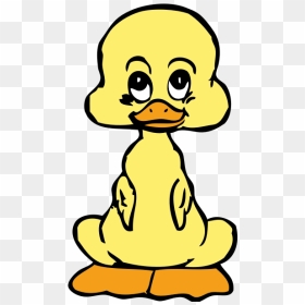 Baby Duck - Yellow Baby Ducks Cartoon, HD Png Download - duckling png