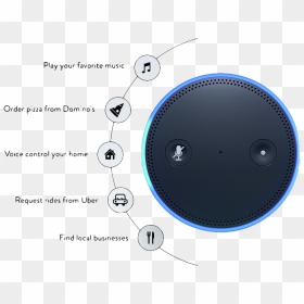 Get Amazon Echo Dot & Professional 24/7 Monitoring - Circle, HD Png Download - echo dot png