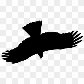 Bird Kite Silhouette, HD Png Download - flying bird silhouette png