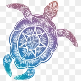 Sea Turtle Clipart Transparent Background, HD Png Download - turtle cartoon png