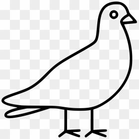 Dove - Line Art, HD Png Download - dove png images