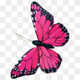 Pink Butterfly Clip Art - Pink Flying Transparent Butterfly, HD Png Download - flying butterfly png