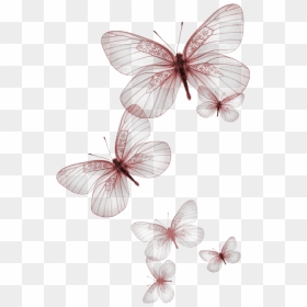 Red Butterflies - Pink And White Butterfly, HD Png Download - red butterfly png