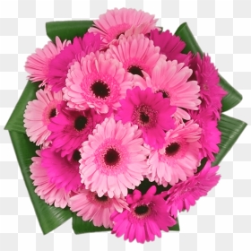Pink Gerbera Bouquet, HD Png Download - pink daisy png