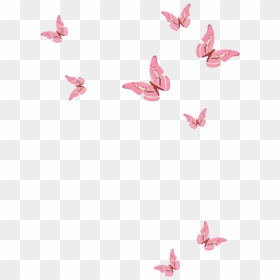 Flying Pink Butterfly Png Picture - Transparent Pink Butterfly Png, Png Download - flying butterfly png