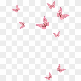 Kisspng Butterfly Poster Flying Butterfly 5a956411869176, Transparent ...