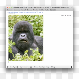 In The Console - Silverback Mountain Gorilla, HD Png Download - forever alone meme png