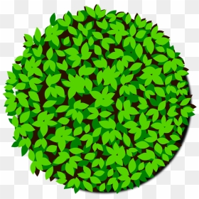 Leaf,plant,grass, HD Png Download - grass png clipart