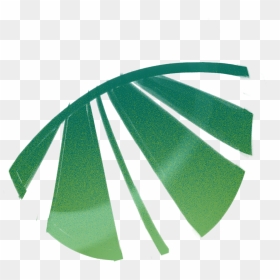 0203 Hola Stb 0005 Layer-34 - Parallel, HD Png Download - hola png