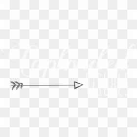 Captivated Visuals Cupid Arrow Png - Calligraphy, Transparent Png - cupid arrow png