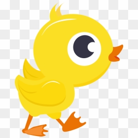 Ducklings Pre-school , Png Download, Transparent Png - duckling png