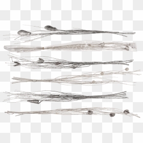 Sketch, HD Png Download - white glitter png