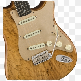 Fender Custom Shop 2018 Artisan Spalted Maple Stratocaster - Fender Custom Shop Fram, HD Png Download - fender stratocaster png