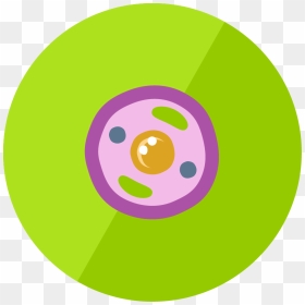 The Animal Cell - Animal Cell Icon Png, Transparent Png - animal cell png