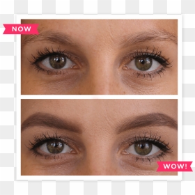 Patchy And Sp Brows Benefit Cosmetics - Sparse Brows, HD Png Download - bushy eyebrows png