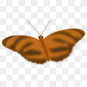 Transparent Flying Butterfly Clipart - Butterfly Image Small Size, HD Png Download - flying butterfly png