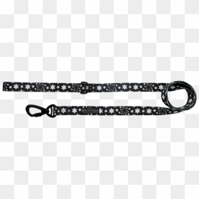Big & Little Dogs, HD Png Download - dog leash png
