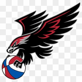 Eagle With Basketball Logo, HD Png Download - blackhawks png