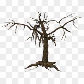 Mystical Tree Png, Transparent Png - leafless tree png