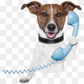 Dog Telephone V2 - Dog And Teacher Quotes, HD Png Download - dog leash png