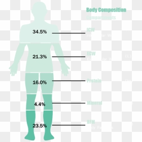 Dedication Of Bioelectric Impedance Analysis - Male, HD Png Download - fat person png
