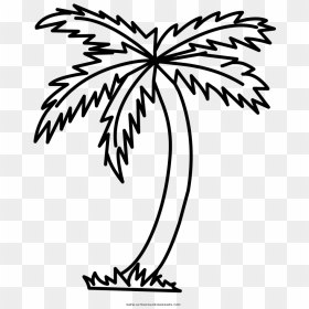 Palm Tree Coloring Page - Clip Art, HD Png Download - leafless tree png