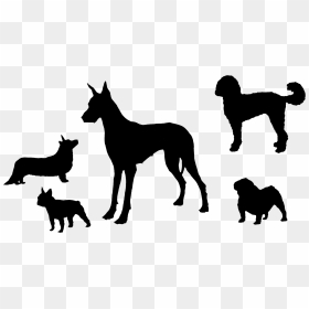 Mary B Conley"s Dog Silhouettes - Cirneco De Etna, HD Png Download - nyc silhouette png