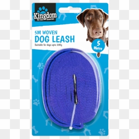 Dog Leash 5m - Dog Catches Something, HD Png Download - dog leash png