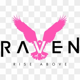 Raven - Buzzard, HD Png Download - raven feather png