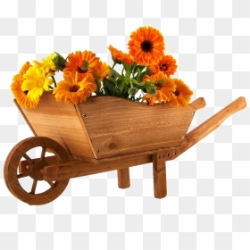Wheelbarrow Flower Marigold Photography - Wheelbarrow Full Of Eggs, HD Png Download - wheelbarrow png