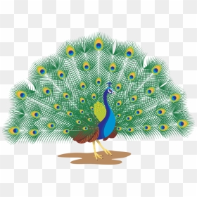 Go To Image - Transparent Background Peacock Clipart, HD Png Download - peacock png image