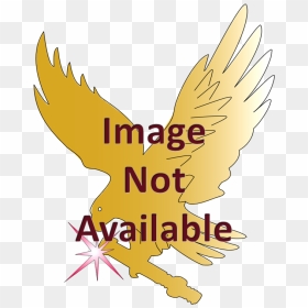 Red-tailed Hawk, HD Png Download - metal screw head png