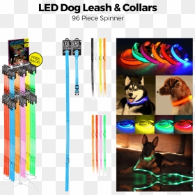 Dog, HD Png Download - dog leash png