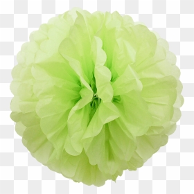 Lime Green Pompoms-34 - Artificial Flower, HD Png Download - pom poms png