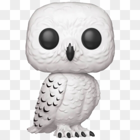 #70 Hedwig - Harry Potter Owl Funko Pop, HD Png Download - hedwig png
